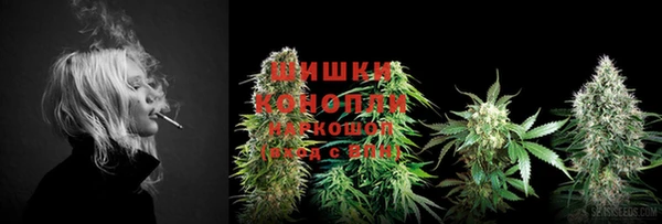 тгк Заводоуковск