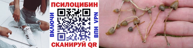Псилоцибиновые грибы мицелий  Домодедово 