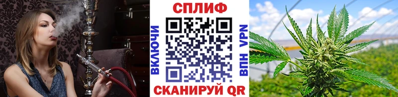 Канабис SATIVA & INDICA  Домодедово 